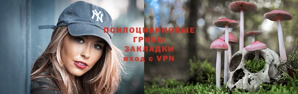 MDMA Белокуриха