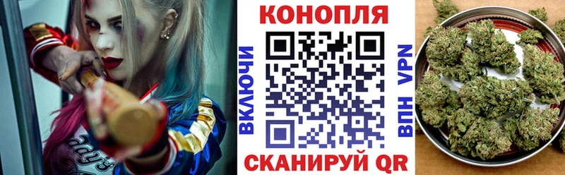 Шишки марихуана MAZAR Купить Тольятти